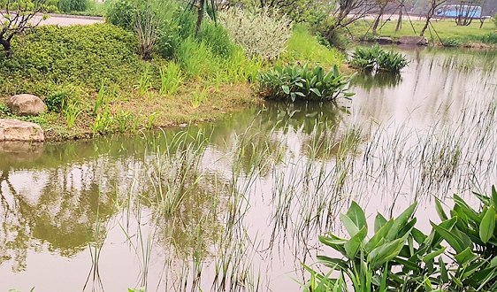 青海:756项河湖“四乱”问题全部整改销号